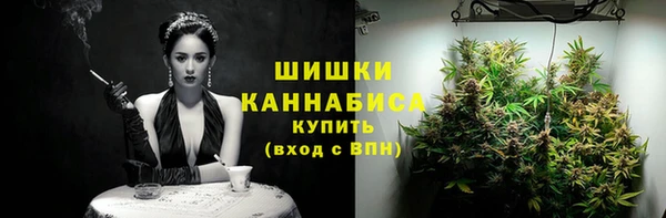 PSILOCYBIN Беломорск