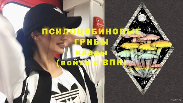 хмурый Анжеро-Судженск