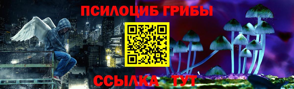 Гулькевичи  Псилоцибиновые грибы ЛСД  Вход с VPN 
